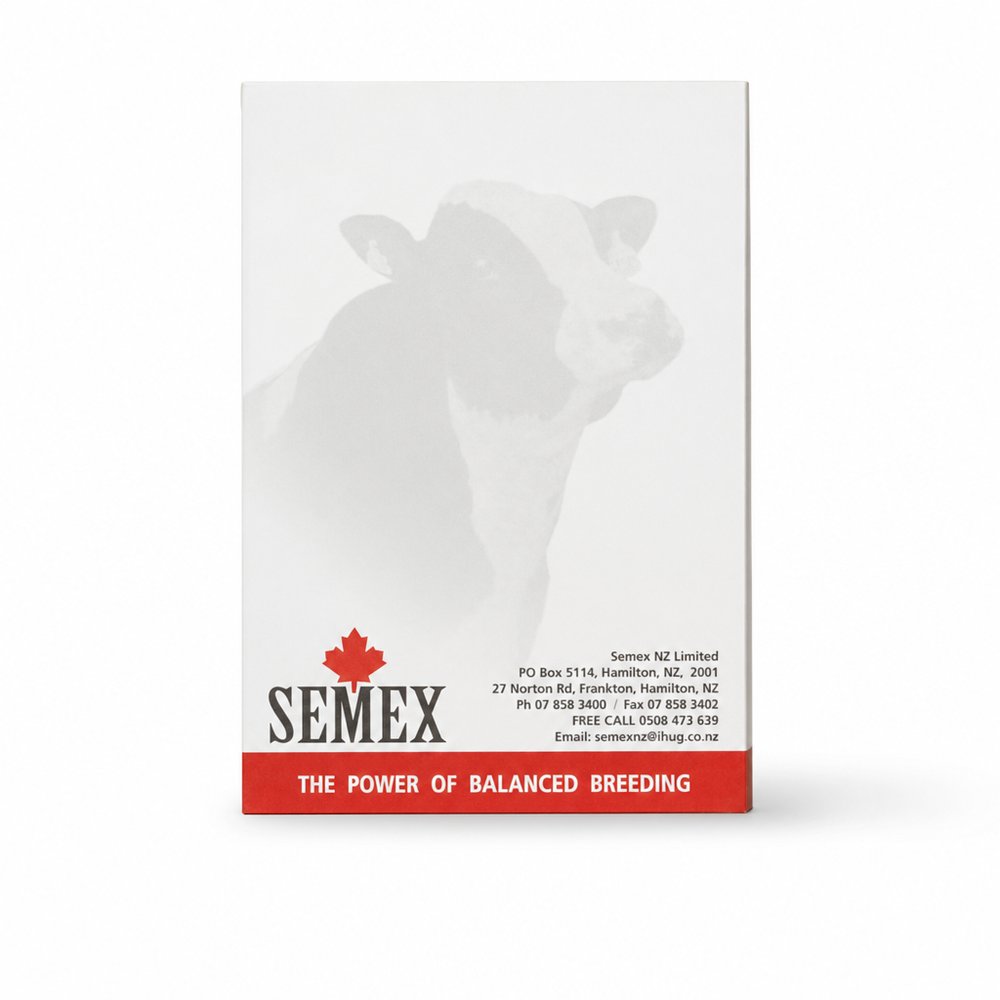 Custom Printed A6 Notepads — 10 Page Conference Jotter