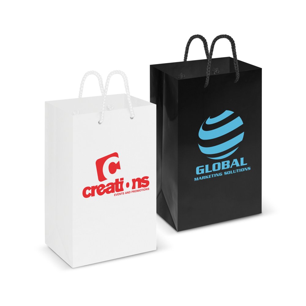 Gloss Laminated Paper Gift Bag - Small