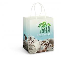 Paper Bags - Colour Wrap Printed (Lrg)