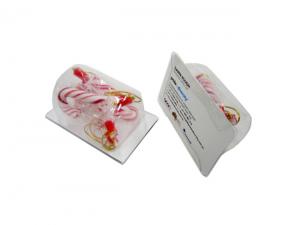 Promotional Candy Canes With Business Cards (x4)