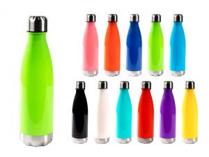 Promotional BPA Free Drink Bottles With Stainless Lid (650ml)