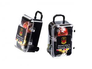 Promotional Lindt Balls In Carry-On Case Bags (x2)