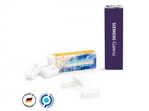 Promotional Sugar Free Mint Bars (10g)