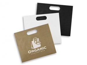 Promotional Large Landscape Paper Carry Bag (283mm x 330mm)